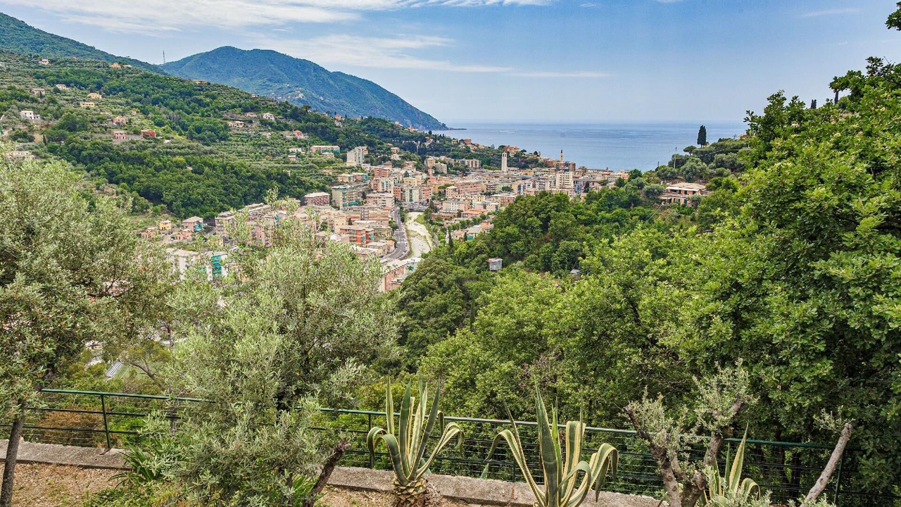 Photo of Others in Recco