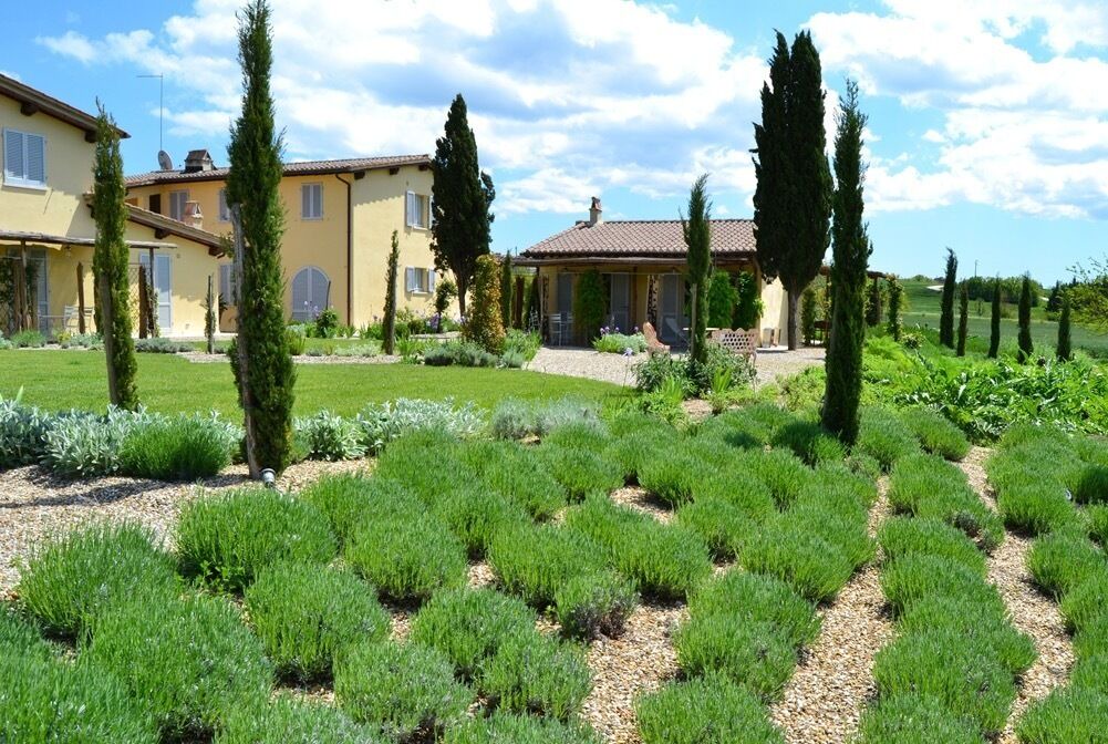 Photo of Outdoor in Sovicille