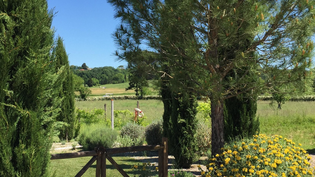 Photo of Outdoor in Sovicille