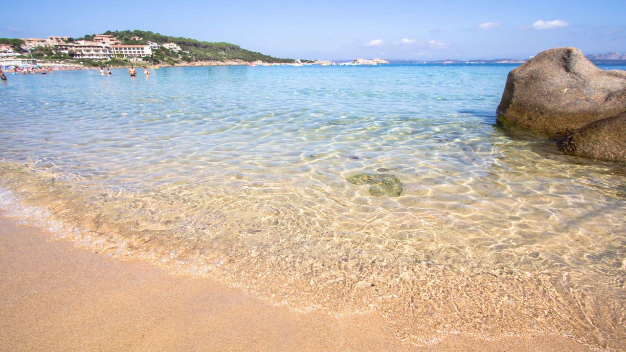 Photo of Others in Baja Sardinia