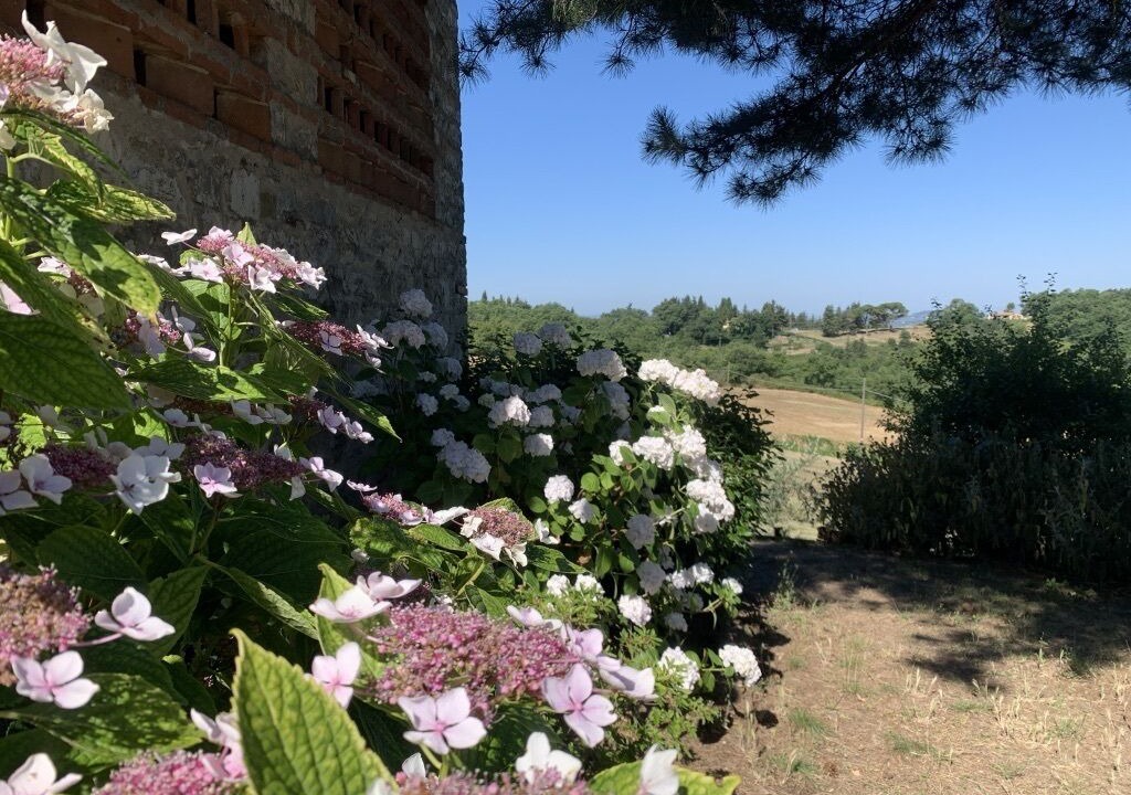 Photo of Outdoor in Greve in Chianti