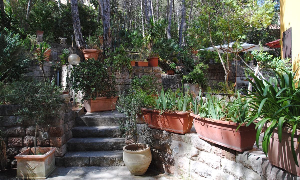 Photo of Outdoor in Narbolia