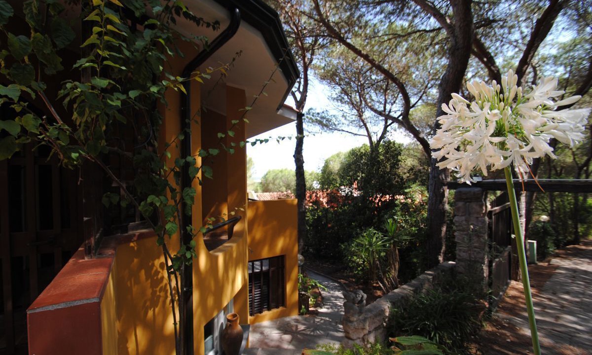 Photo of Outdoor in Narbolia