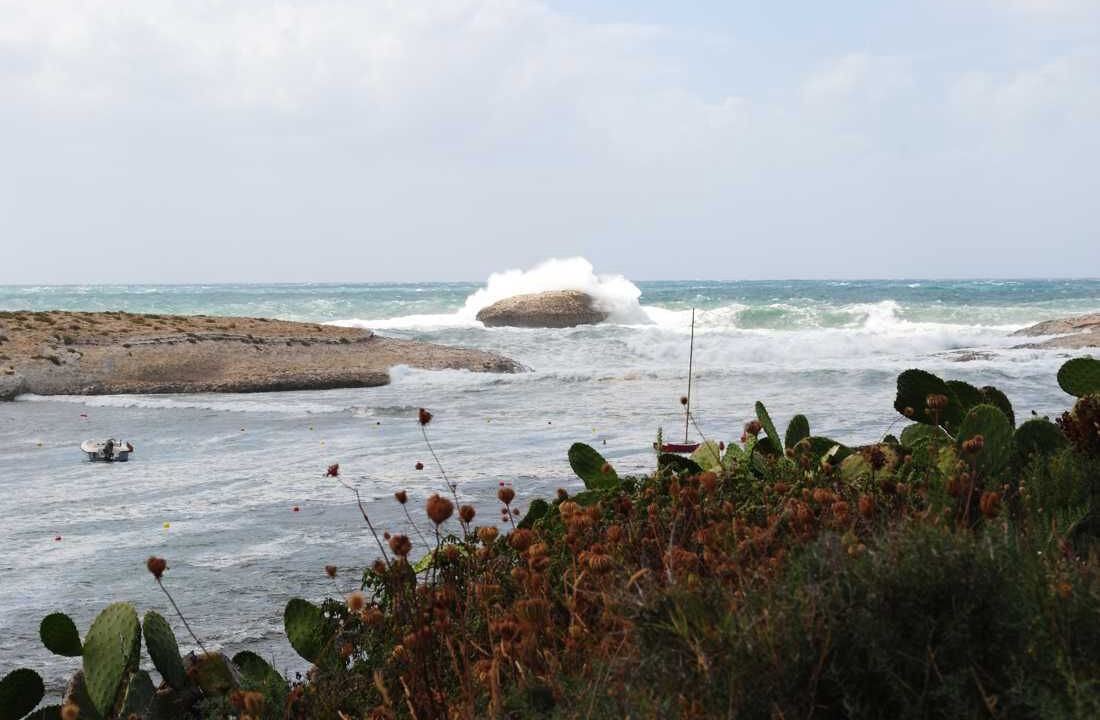 Photo of Others in Narbolia