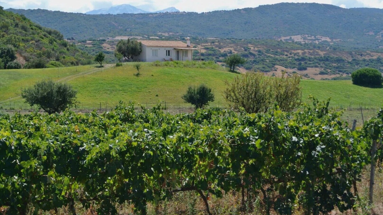 Photo of Outdoor in Galtelli