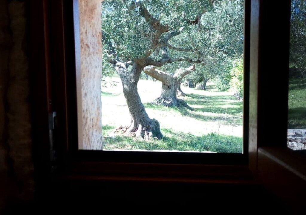 Photo of Others in Alberobello