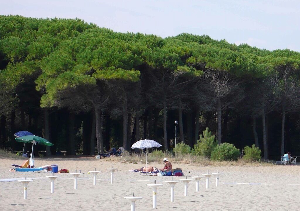 Photo of Others in Eraclea Mare