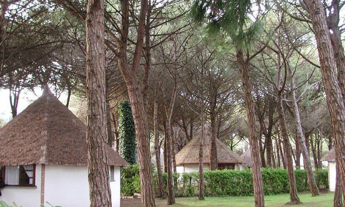 Photo of Outdoor in Eraclea Mare
