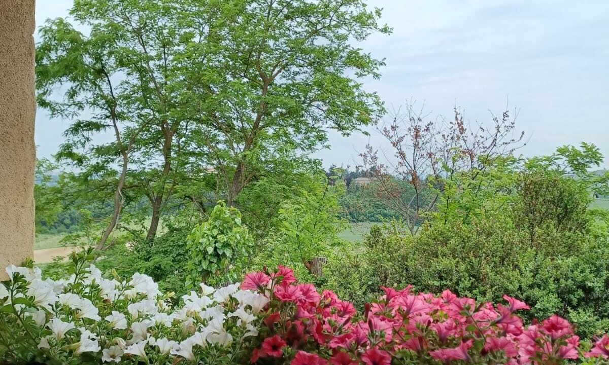 Photo of Outdoor in Montegrosso dʼAsti