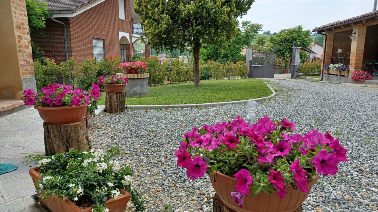 Photo of Outdoor in Montegrosso dʼAsti