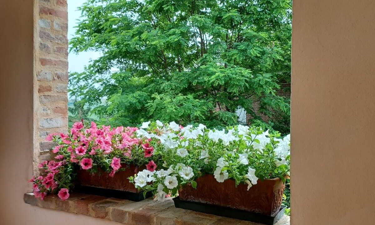 Photo of Outdoor in Montegrosso dʼAsti