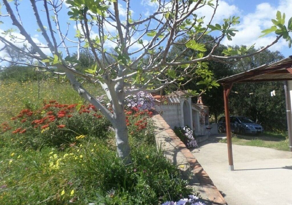 Photo of Outdoor in Santa Maria Navarrese