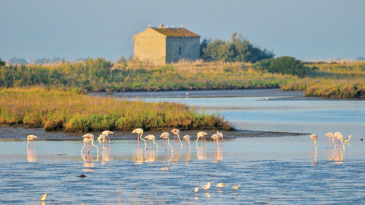 Photo of Others in Lido degli Estensi