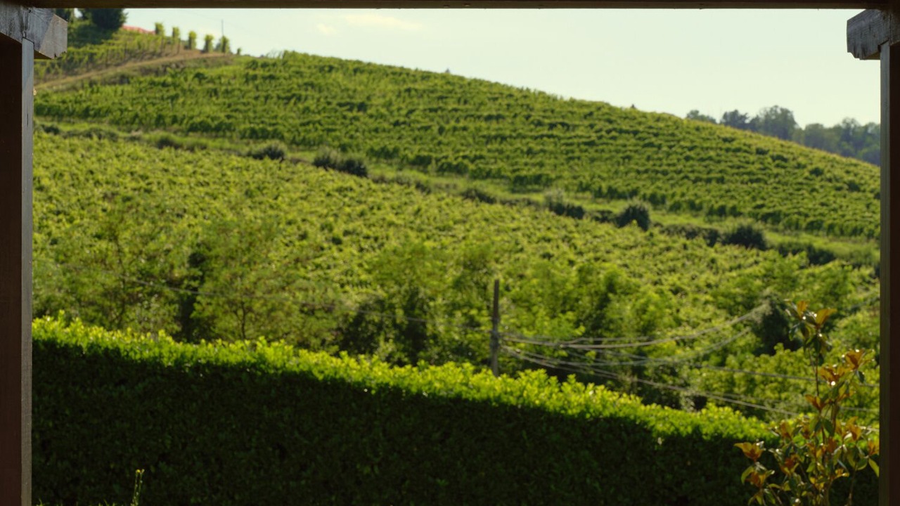 Photo of Outdoor in Santo Stefano Belbo