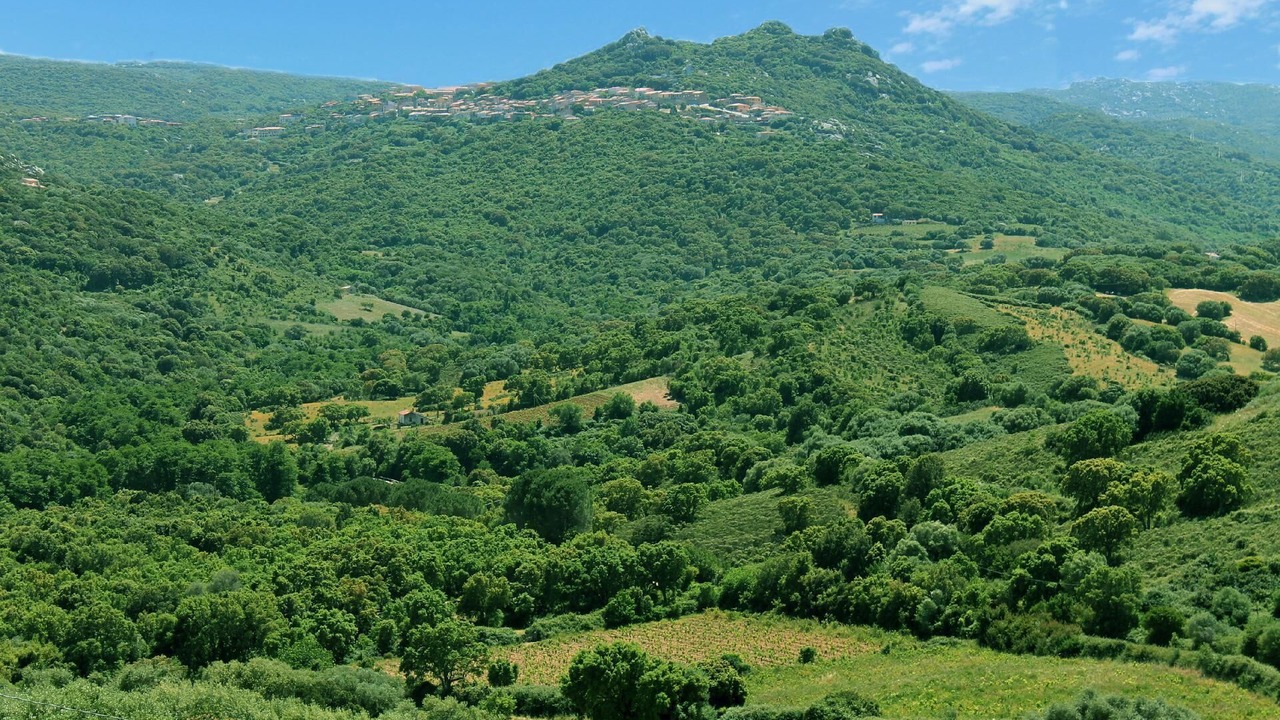 Photo of Outdoor in Luogosanto