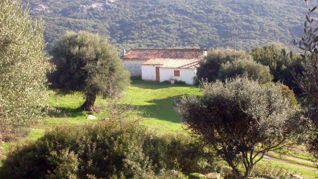 Photo of Others in Luogosanto