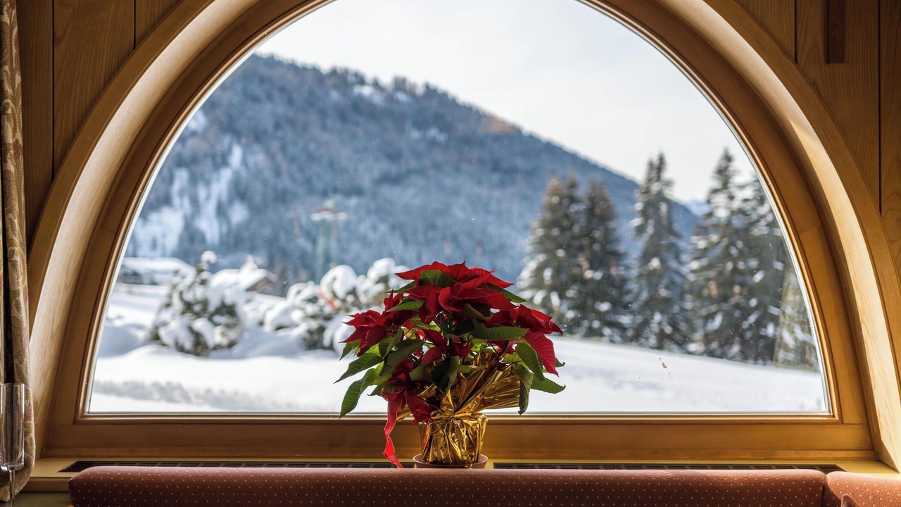 Photo of Others in Selva di Val Gardena