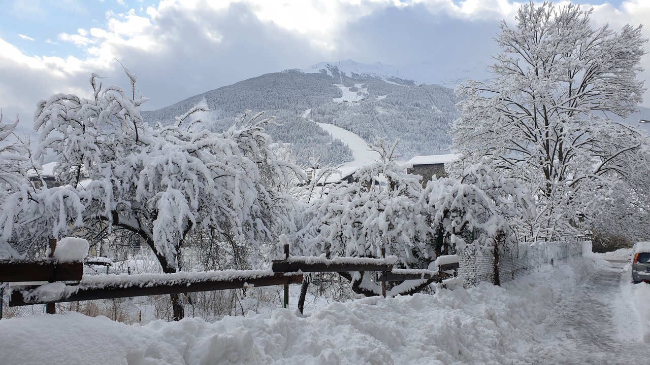 Photo of Outdoor in Bormio