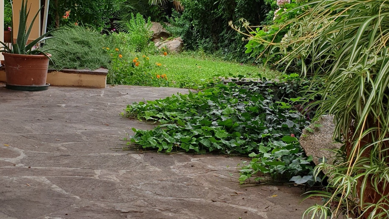 Photo of Outdoor in Cala Gonone
