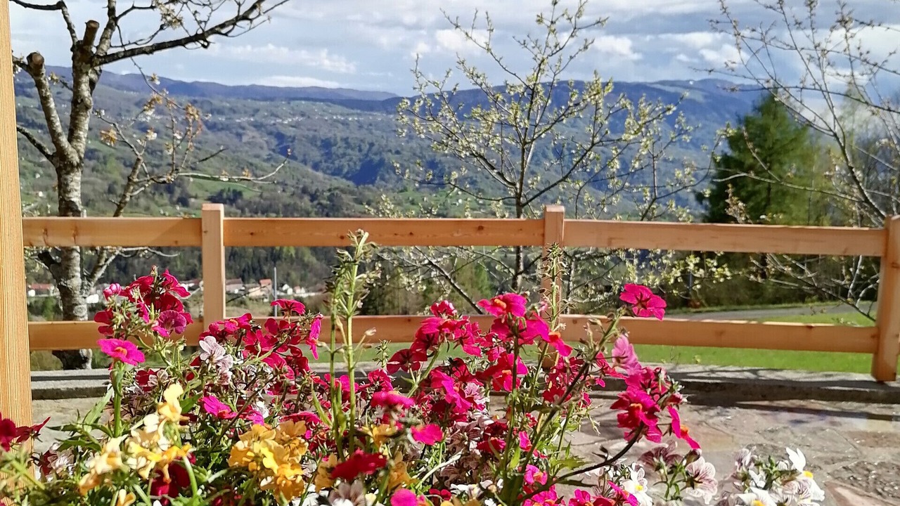 Photo of Outdoor in San Martino D'Alpago