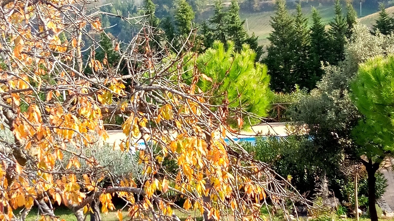 Photo of Outdoor in Servigliano