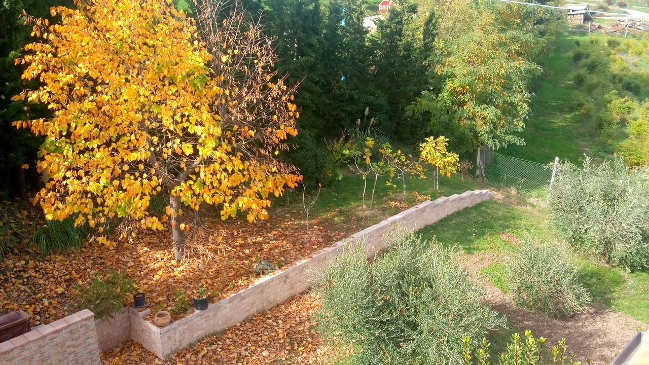 Photo of Outdoor in Servigliano