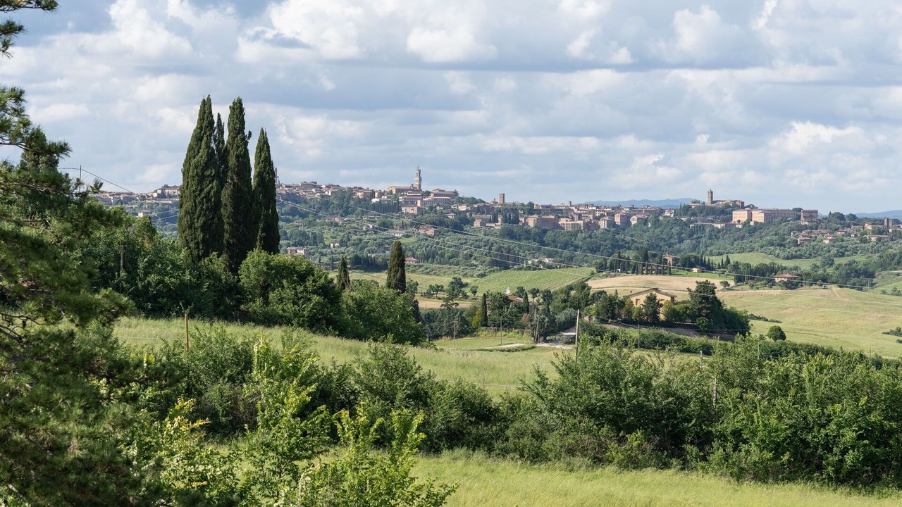 Photo of Others in Siena