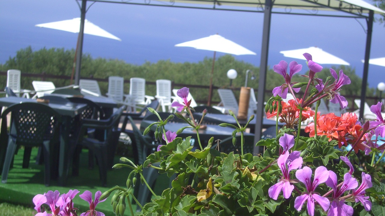 Photo of Outdoor in Monte di Luna