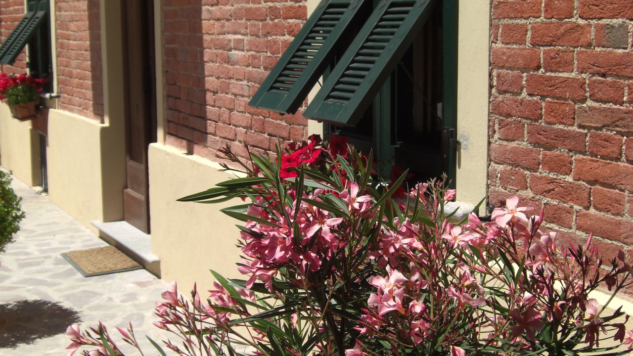 Photo of Outdoor in Fontanile