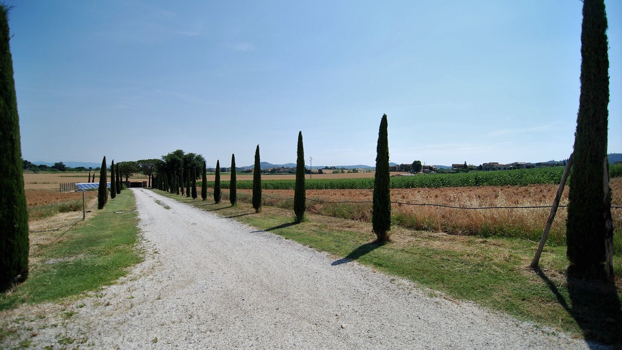 Photo of Outdoor in Paciano