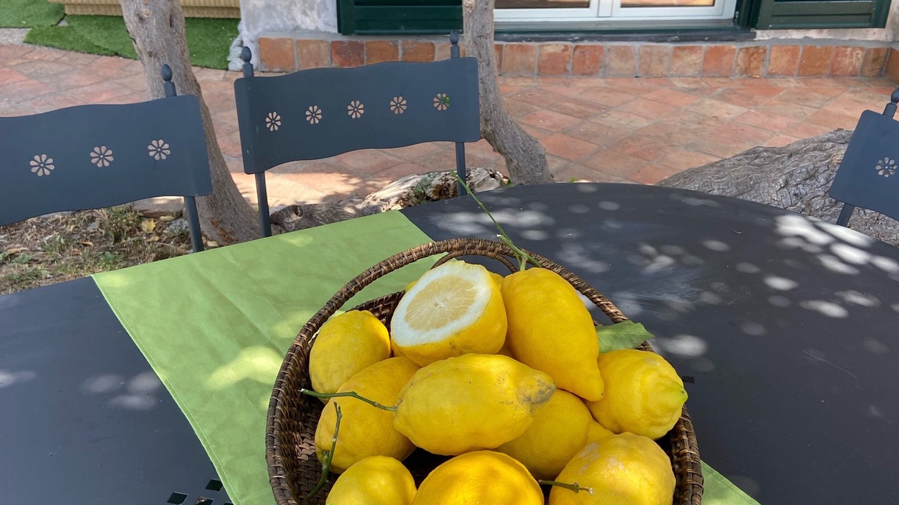 Photo of Patio Balcony in Maiori