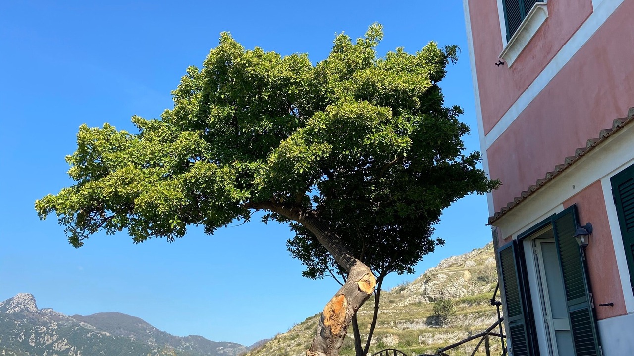 Photo of Outdoor in Maiori