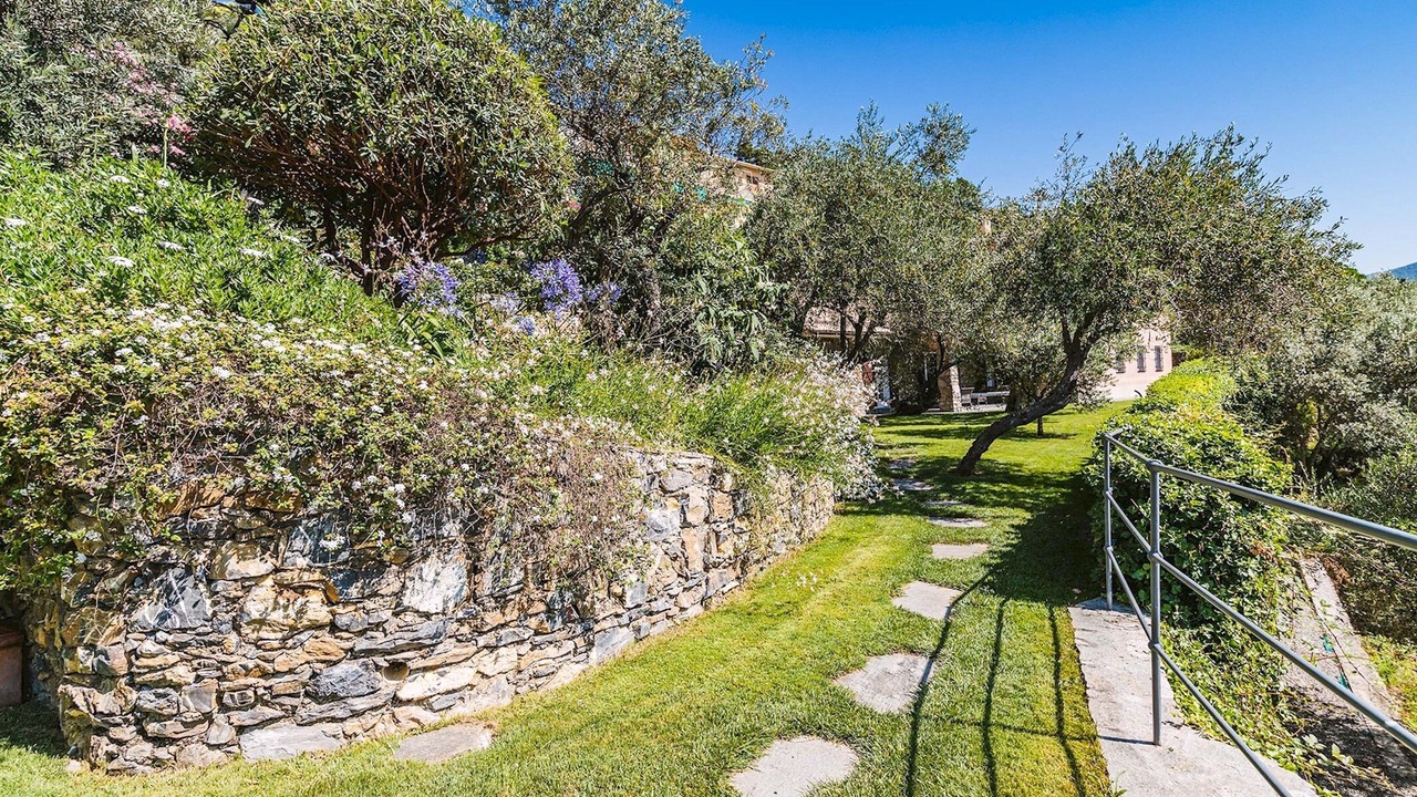 Photo of Outdoor in Recco