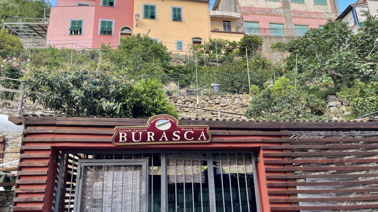 Photo of Outdoor in Manarola