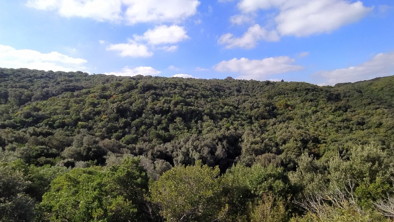 Photo of Others in Gorgofreddo