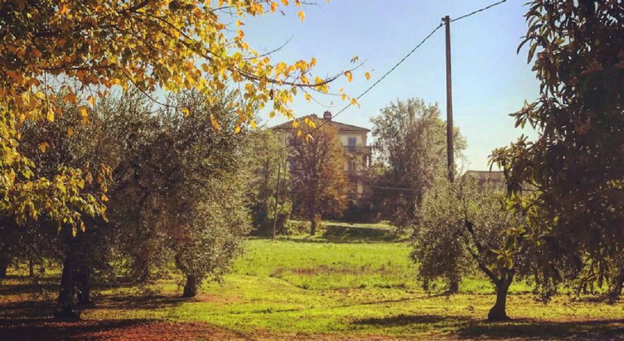 Photo of Outdoor in Capannori