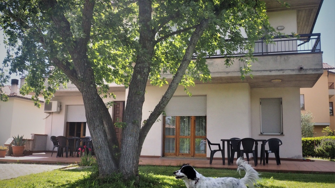 Photo of Outdoor in Anghiari