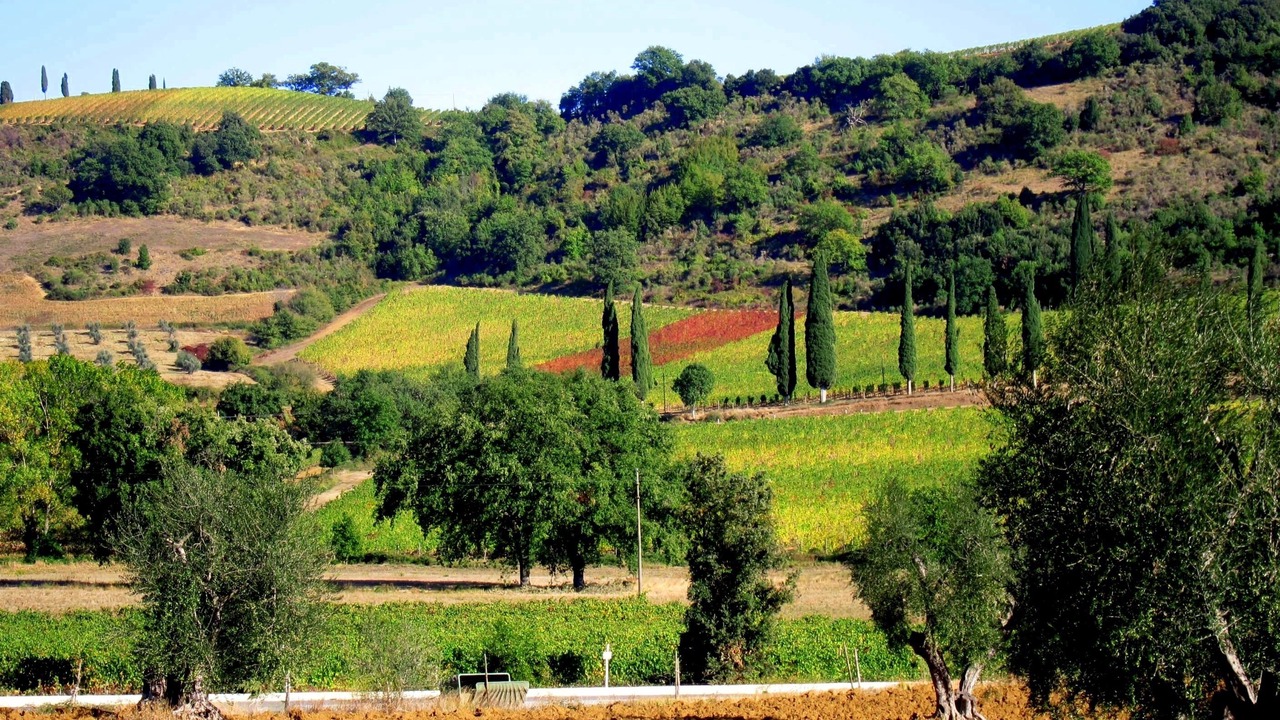 Photo of Outdoor in Poggio Alla Cavalla