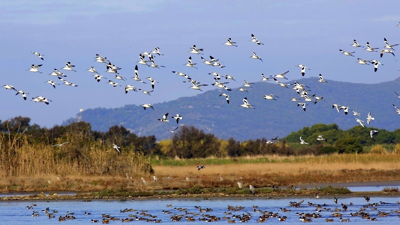 Photo of Outdoor in Poggio Alla Cavalla