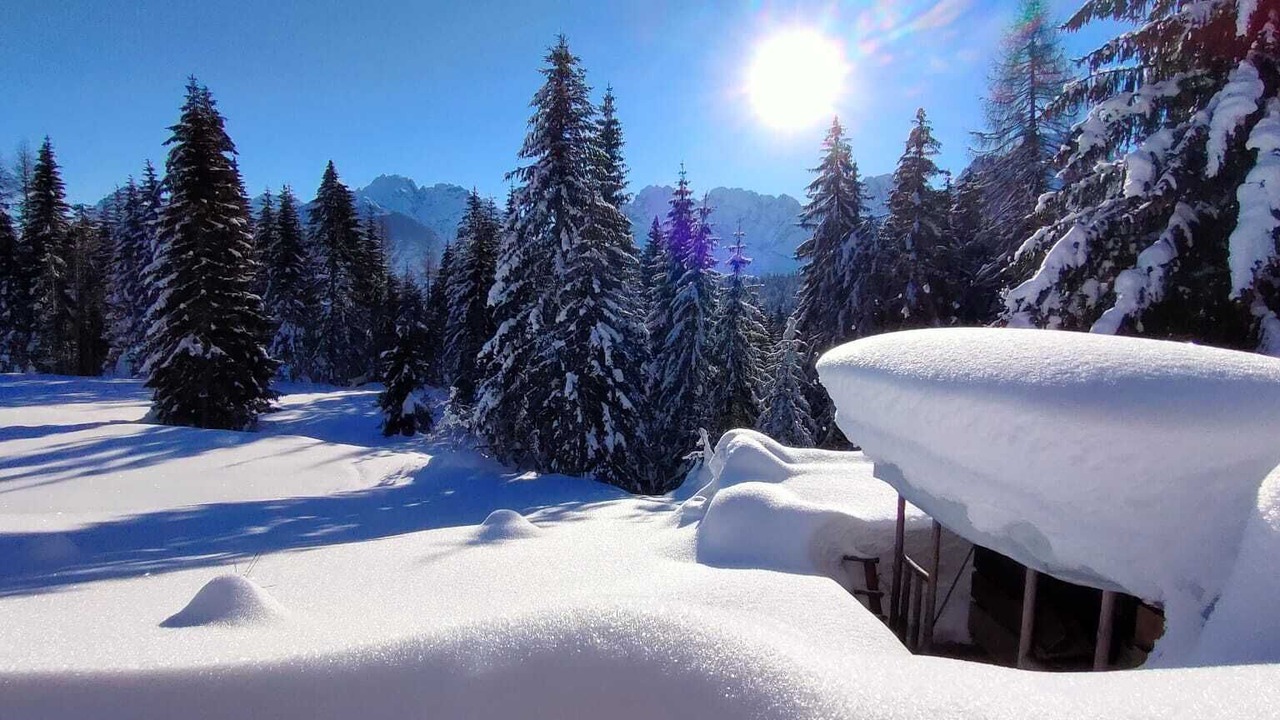 Photo of Others in Danta di Cadore