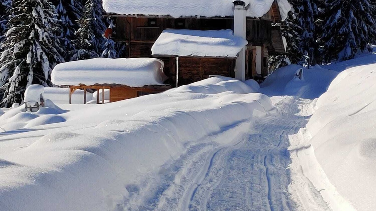Photo of Outdoor in Danta di Cadore