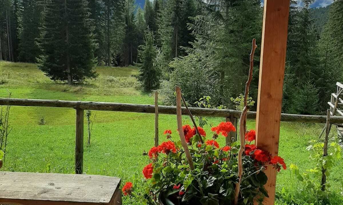 Photo of Outdoor in Danta di Cadore