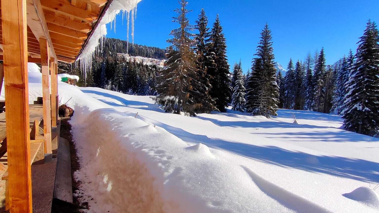 Photo of Outdoor in Danta di Cadore