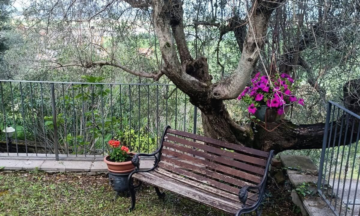 Photo of Outdoor in Camucia