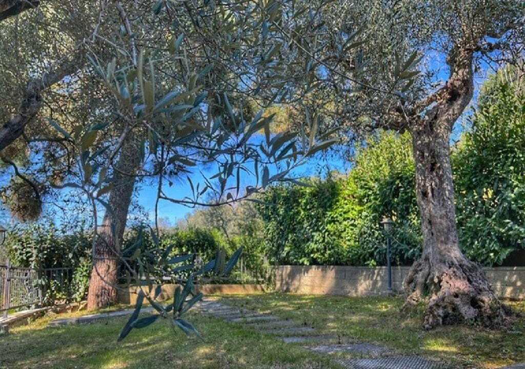 Photo of Outdoor in Camucia
