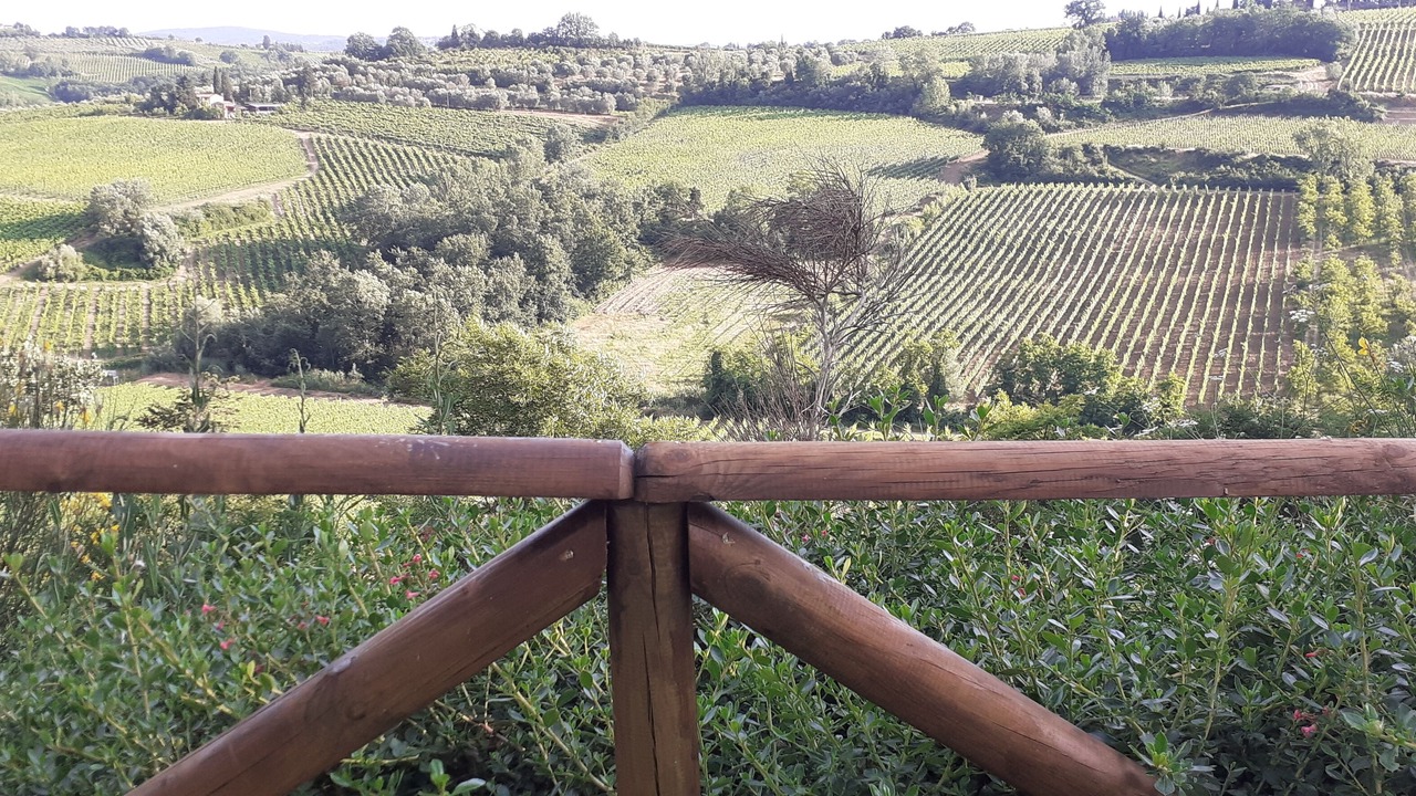 Photo of Outdoor in Gambassi Terme