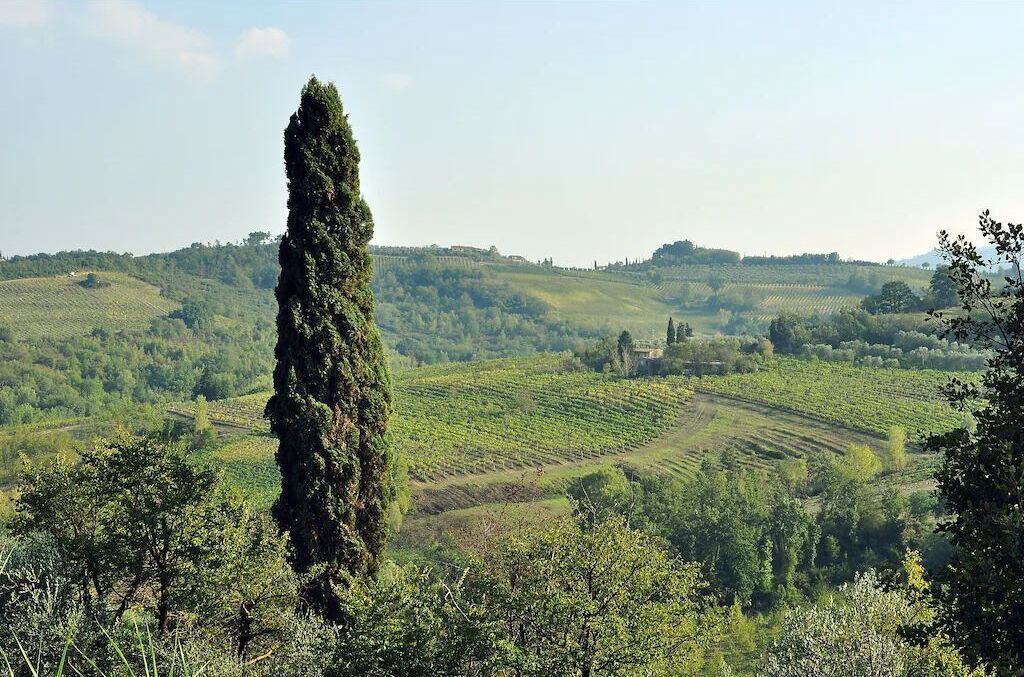 Photo of Others in Gambassi Terme