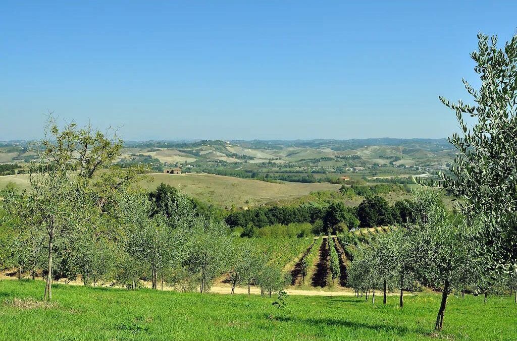 Photo of Outdoor in Gambassi Terme