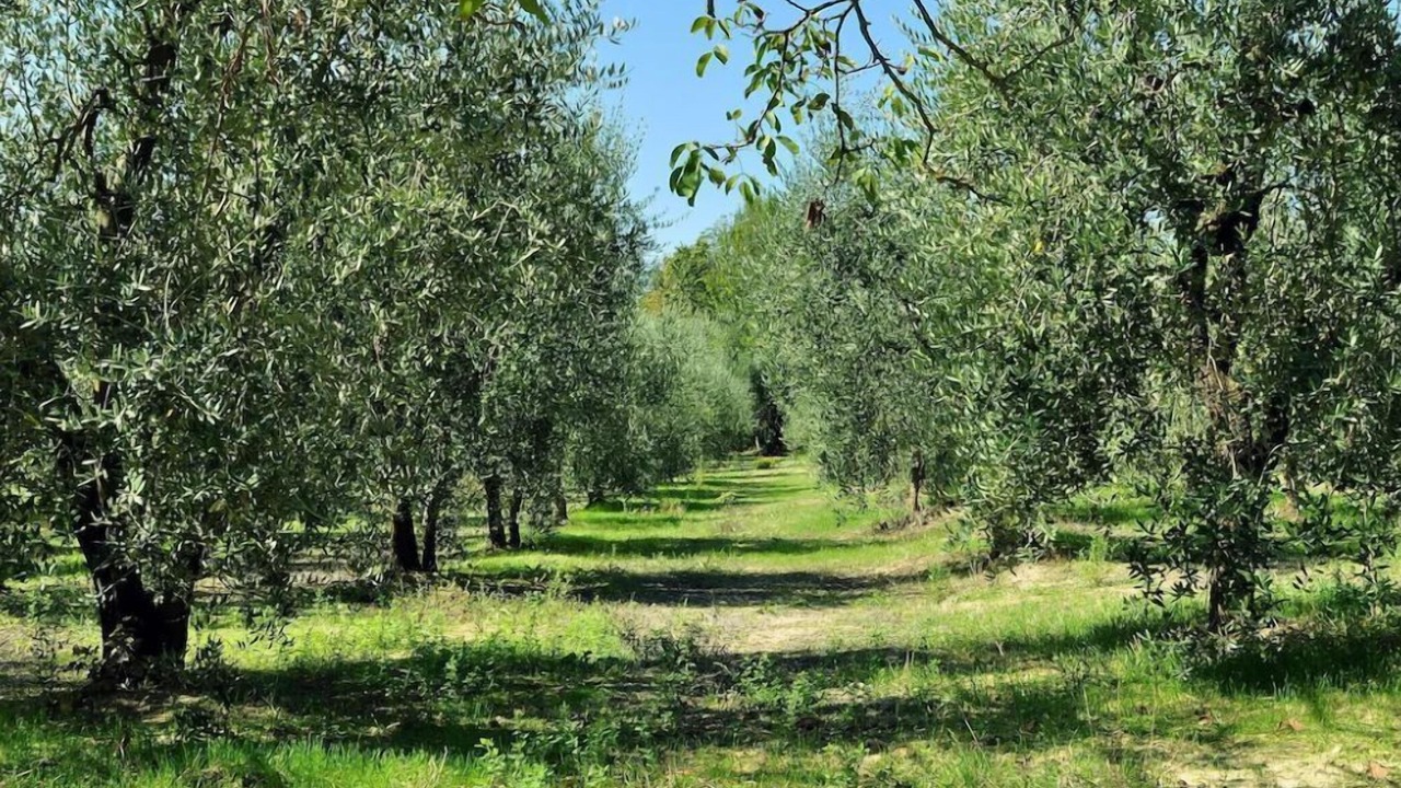 Photo of Outdoor in Gambassi Terme