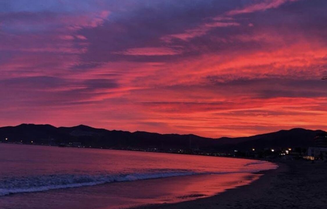 Photo of Others in Savona